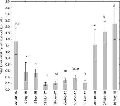 Extramatrical Mycelium and Ectomycorrhizal Community Composition of Quercus pubescens in a Sub-Mediterranean Stress-Prone Environment